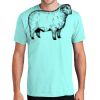 Fan Favorite Tee Thumbnail