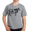 Youth Fan Favorite Tee Thumbnail