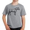 Youth Fan Favorite Tee Thumbnail