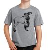 Youth Fan Favorite Tee Thumbnail