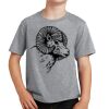 Youth Fan Favorite Tee Thumbnail