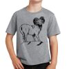 Youth Fan Favorite Tee Thumbnail