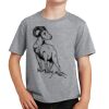 Youth Fan Favorite Tee Thumbnail