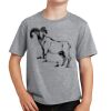 Youth Fan Favorite Tee Thumbnail