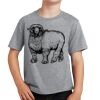 Youth Fan Favorite Tee Thumbnail