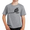 Youth Fan Favorite Tee Thumbnail