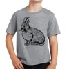 Youth Fan Favorite Tee Thumbnail
