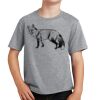 Youth Fan Favorite Tee Thumbnail