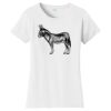 Women's Fan Favorite Tee Thumbnail