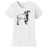 Women's Fan Favorite Tee Thumbnail