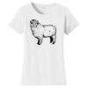 Women's Fan Favorite Tee Thumbnail