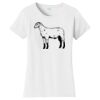 Women's Fan Favorite Tee Thumbnail