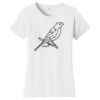 Women's Fan Favorite Tee Thumbnail