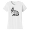 Women's Fan Favorite Tee Thumbnail