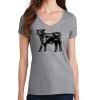 Women's Fan Favorite V Neck Tee Thumbnail