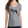 Women's Fan Favorite V Neck Tee Thumbnail