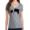Women's Fan Favorite V Neck Tee Thumbnail