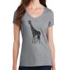 Women's Fan Favorite V Neck Tee Thumbnail