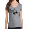 Women's Fan Favorite V Neck Tee Thumbnail